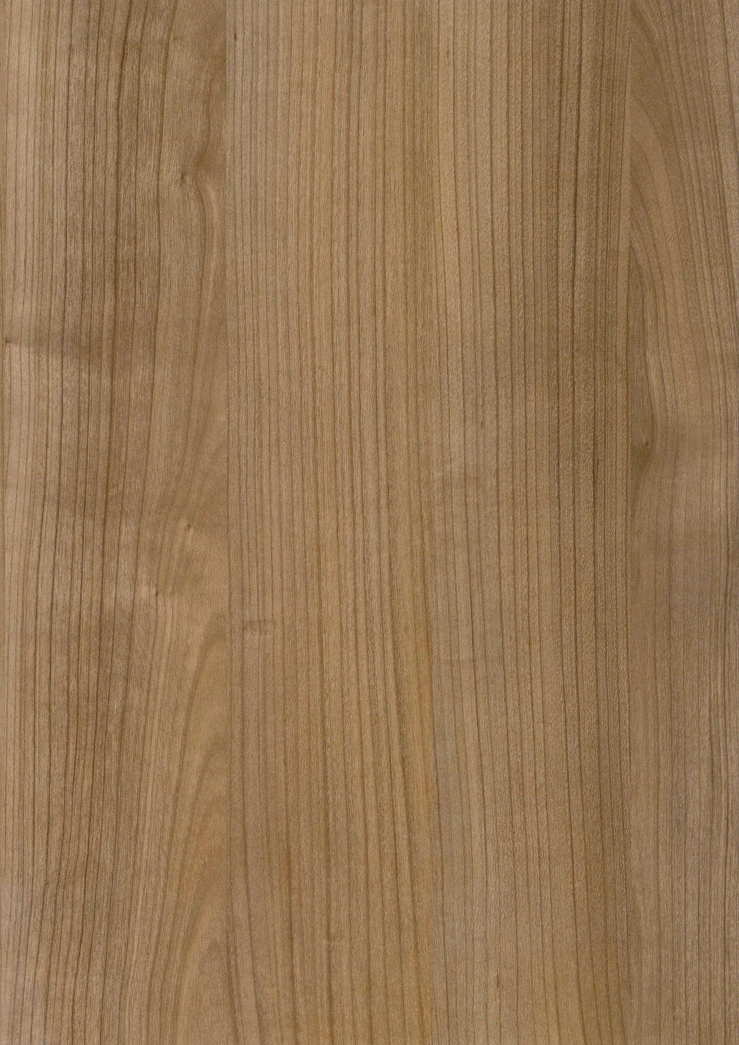 Bureau Odense (Havana, Zwart, 90, 160)