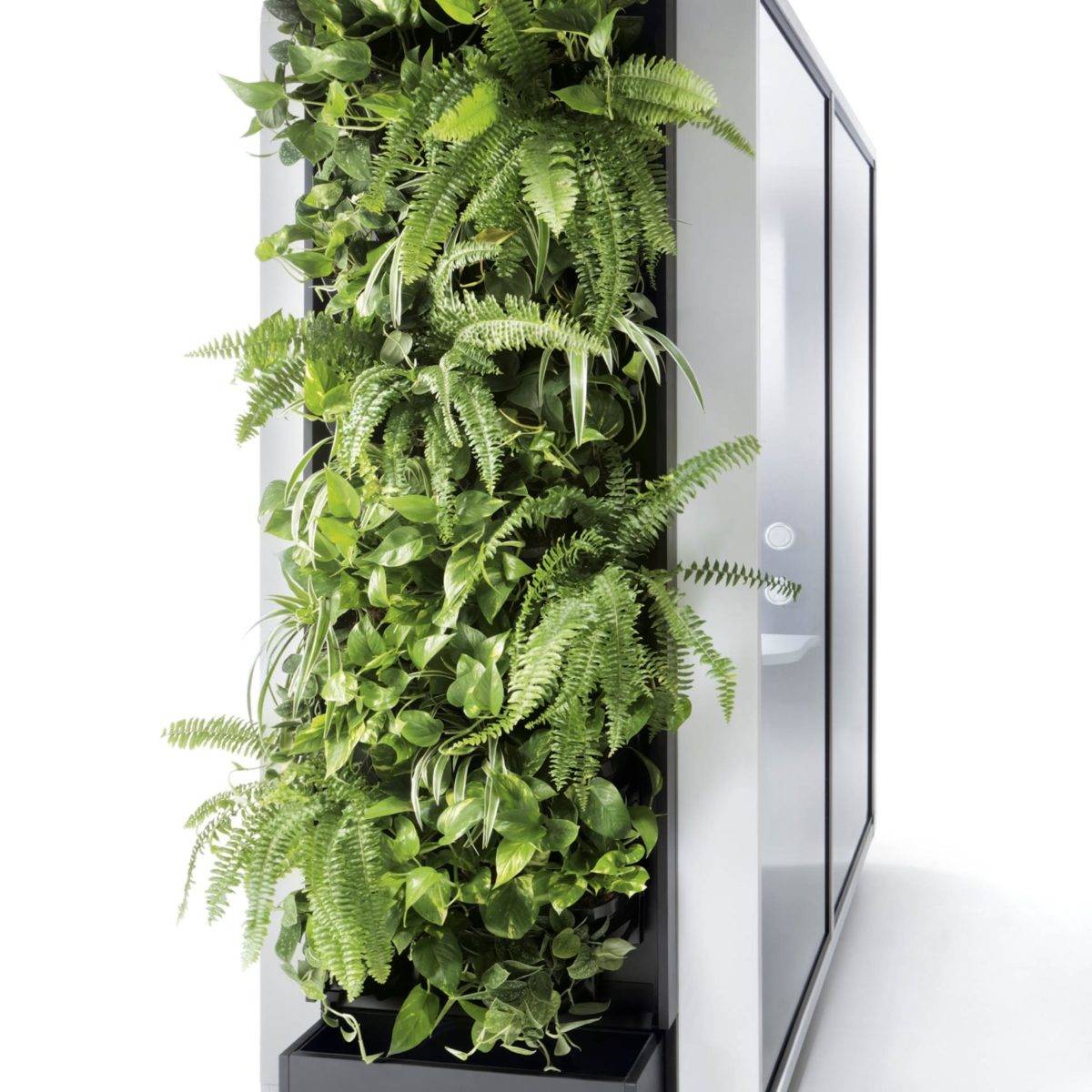 Green Wall